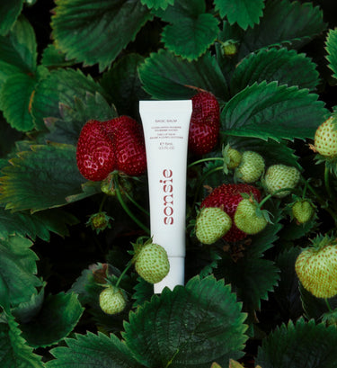 Basic Balm in Sugar-Dipped Rhubarb