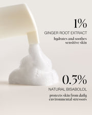 Cleansing Mousse Refill