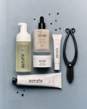 Sonsie Bundle Holiday